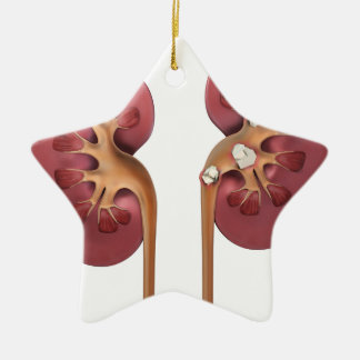 kidneys ceramic ornament