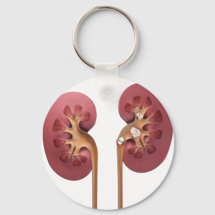 kidneys keychain