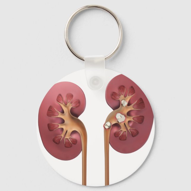 kidneys keychain (Front)