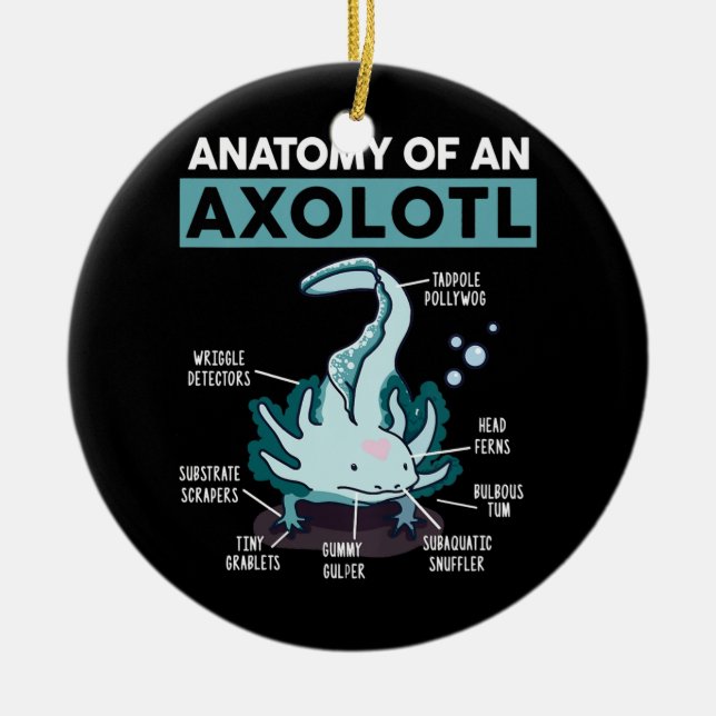 Kids Anatomy Of An Axolotl Mexican Walking Fish Ceramic Ornament (Front)
