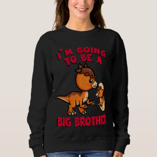 Kids Big Brother 2022 2023 Promoted To Big Brothe Sweatshirt