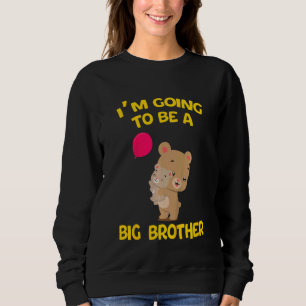 Kids Big Brother 2022 2023 Promoted To Big Brothe Sweatshirt
