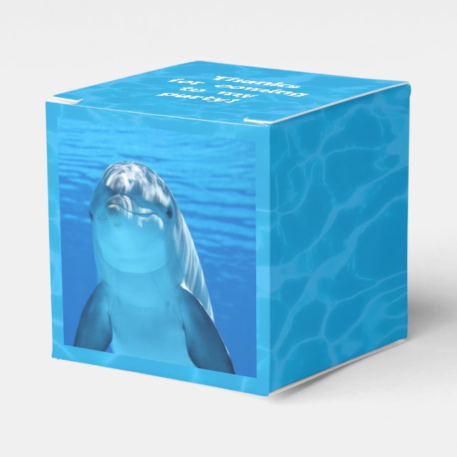 Kids Birthday Dolphin Party Favour Box With Text (Front Side)
