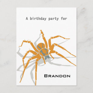 Kids Birthday Invitation - Spiders