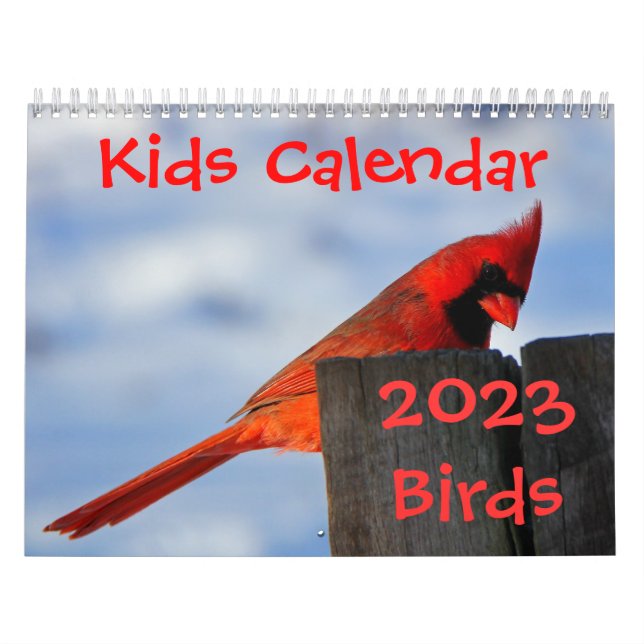 Kids Calendar - 2023 - Birds (Cover)