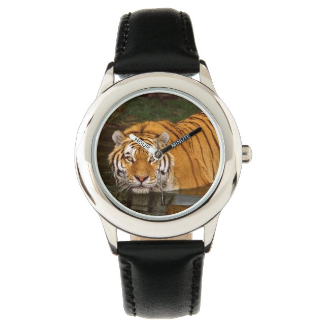 Kids Classic Watch/Wildlife Tiger Watch (Front)
