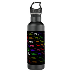 Kids cool rainbow colourful cute dinosaur 710 ml water bottle