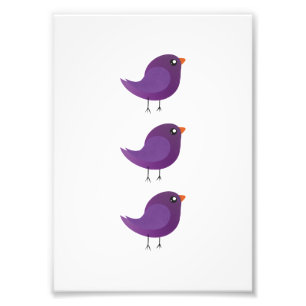 Kids cute birdy  photo print