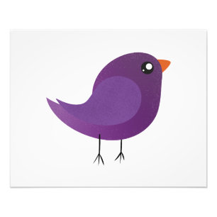 Kids cute birdy photo print