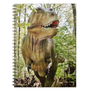 Kids dinosaur notebook
