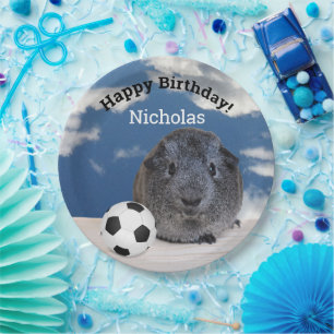 Kids Happy Birthday Guinea Pig Soccer Ball Paper Plate