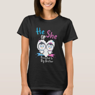Kids He Or She Promoted To Big Brother Penguin Gen T-Shirt