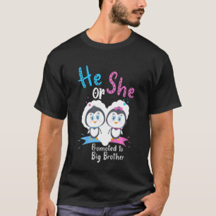 Kids He Or She Promoted To Big Brother Penguin Gen T-Shirt