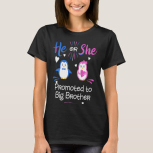 Kids He Or She Promoted To Big Brother Penguin Gen T-Shirt