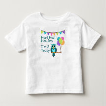 Kids Hoot Hoot Hoo-Ray I'm 2 Today Owl T-Shirt