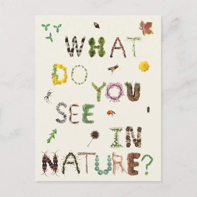Kids Naturalist Nature Explorers  Postcard (Front)