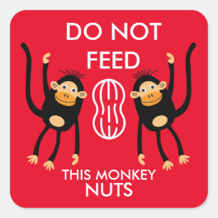 Kids Nut Allergy Warning Square Sticker