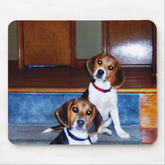 Kids on Stairs Mouse Pad