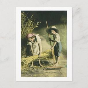 Kids Raking Hay 1903 Vintage Hand Coloured Postcard