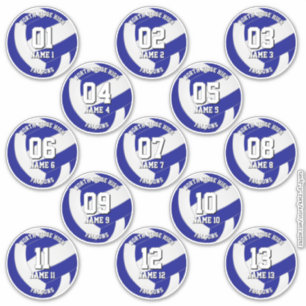 kids teens royal blue white 13 volleyball club