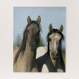 Kiger Mustang Horses Standing Headshots Jigsaw Puzzle