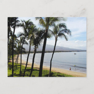 Kihei Maui Hawaii beach Palms Holiday Postcard