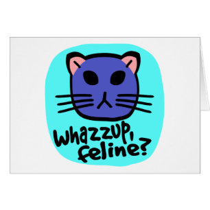 Kiki Kitty Face, Whazzup, Feline? With Background