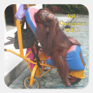 KiKi Orangutan in Her Wheelchair Square Sticker