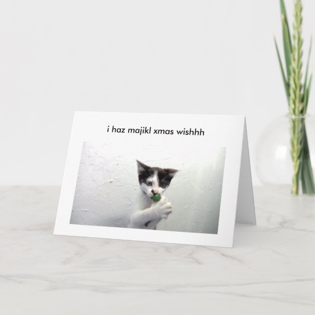 Kiko lolcat holiday card - poof! (Front)