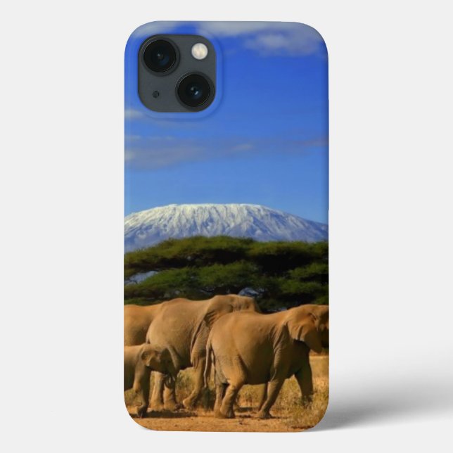 Kilimanjaro And Elephants Case-Mate iPhone Case (Back)
