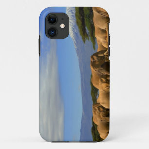 Kilimanjaro And Elephants iPhone 11 Case