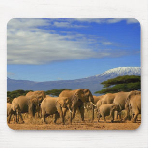Kilimanjaro And Elephants Mouse Pad
