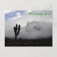 Kilimanjaro