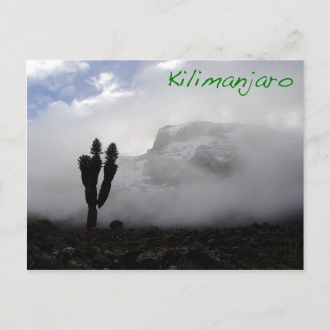 Kilimanjaro Postcard (Front)