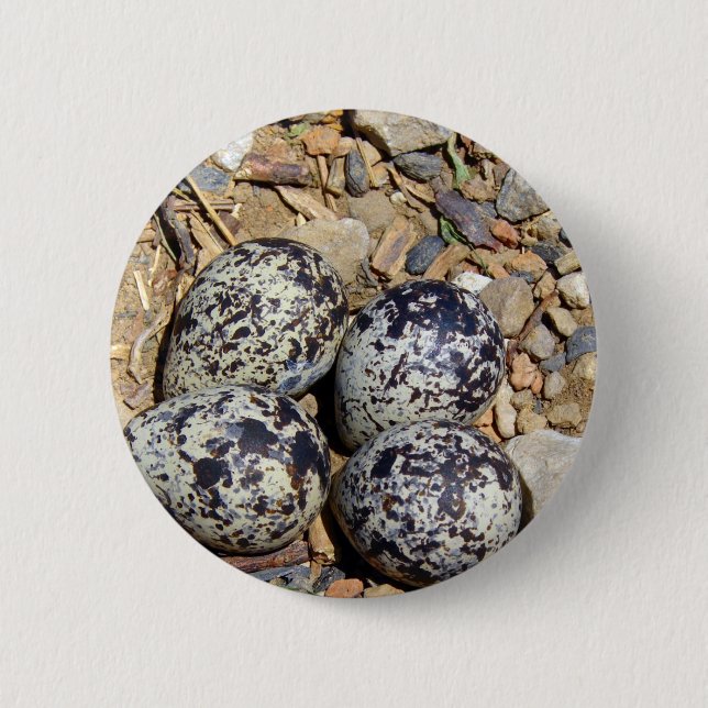 KillDeer Nest With Eggs 2 Inch Round Button (Front)