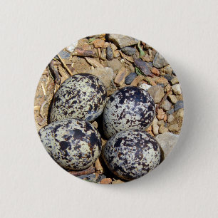KillDeer Nest With Eggs 2 Inch Round Button