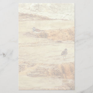 Killdeer Stationery