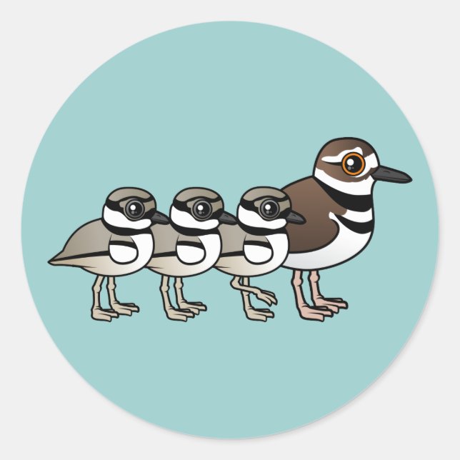 Killdeer & three chicks classic round sticker (Front)