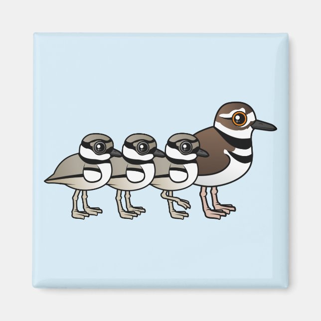 Killdeer & three chicks magnet (Front)