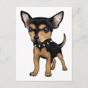 Killer Chihuahua Postcard