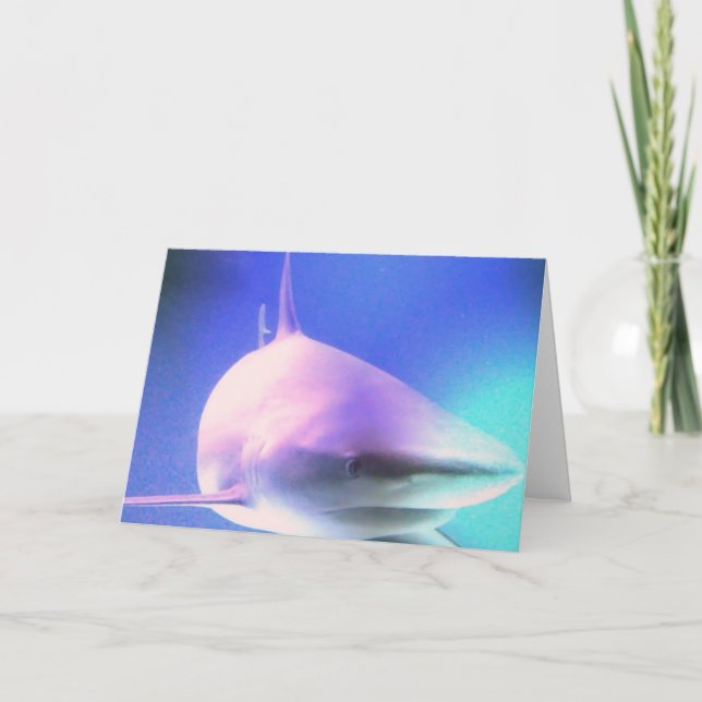 Killer Shark Greeting Card (Front)
