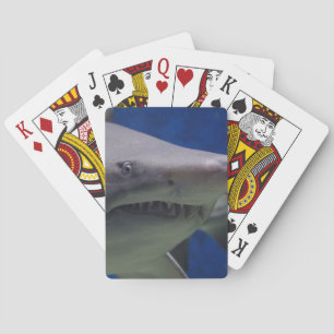 KILLER SHARK playing cards