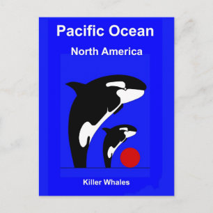 Killer Wales Postcard