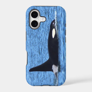 Killer Whale Blackberry