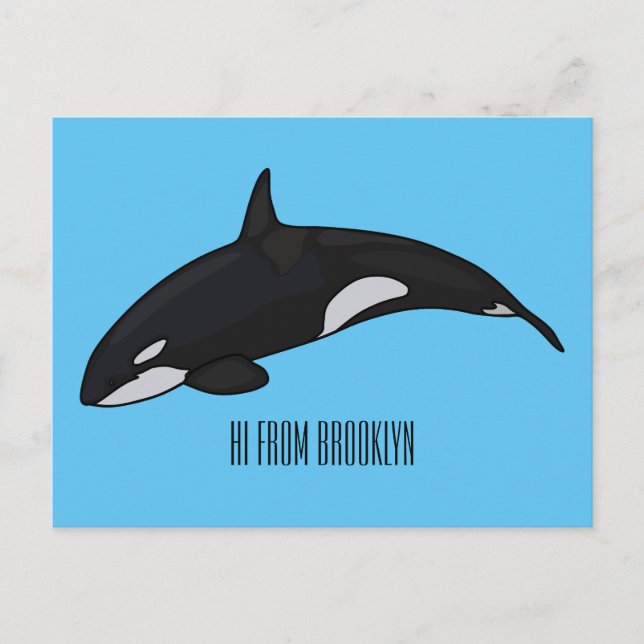 Killer whale cartoon illustration postcard (Front)