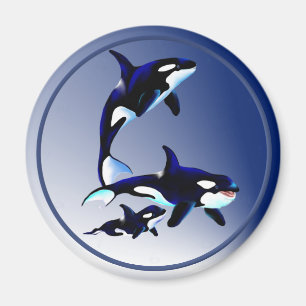 Killer Whale Family Magnets