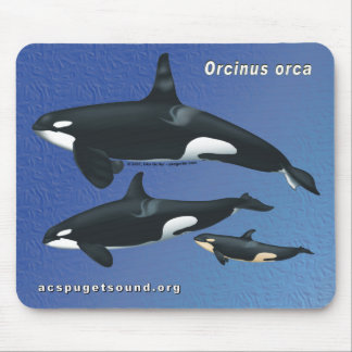Killer Whale Family Mousepad - blue texture bkg