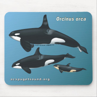 Killer Whale Family Mousepad on Teal Background