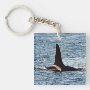 Killer Whale Fin "Aquarius" Orca  Keychain
