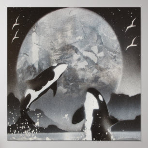 Killer Whale Framed Print